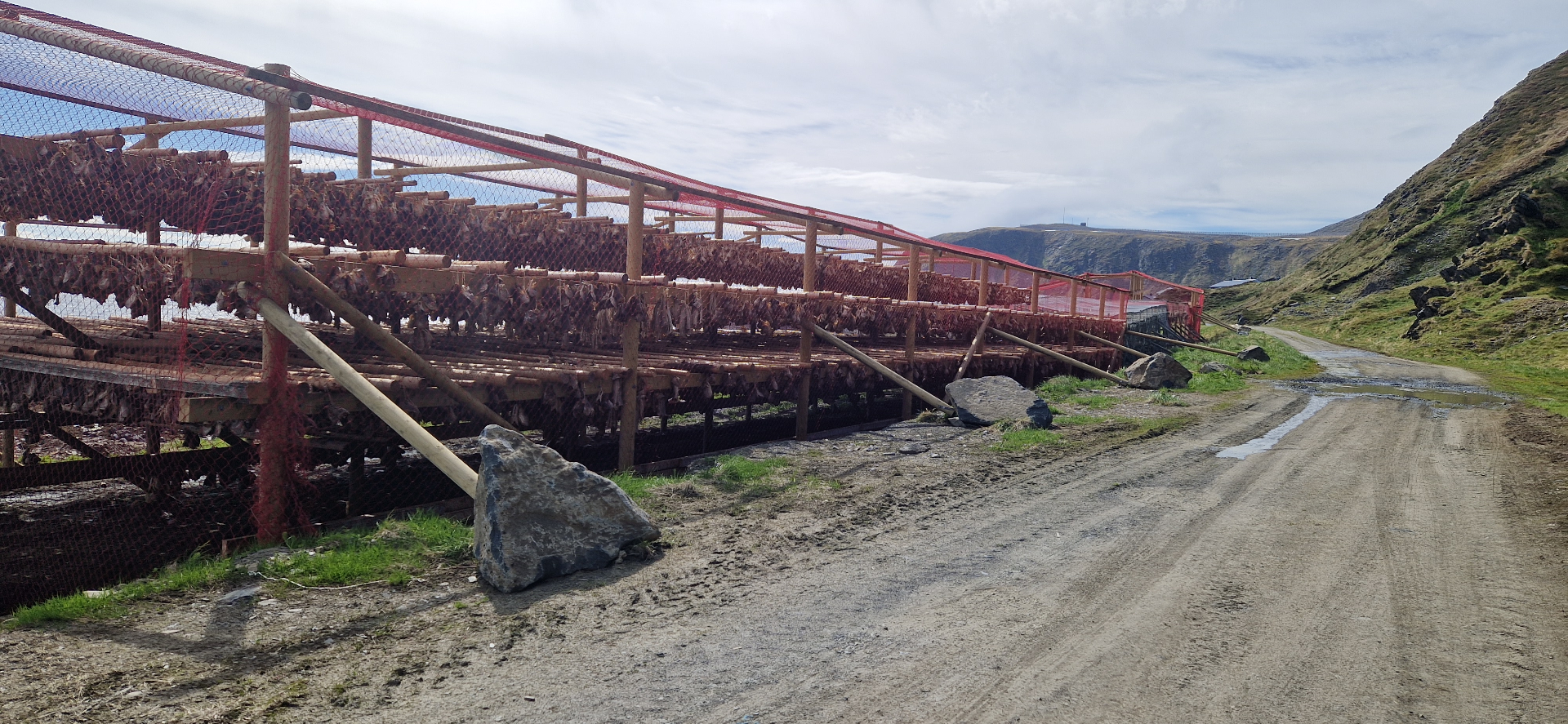 Traditional outdoor fish drying racks from earlier decades