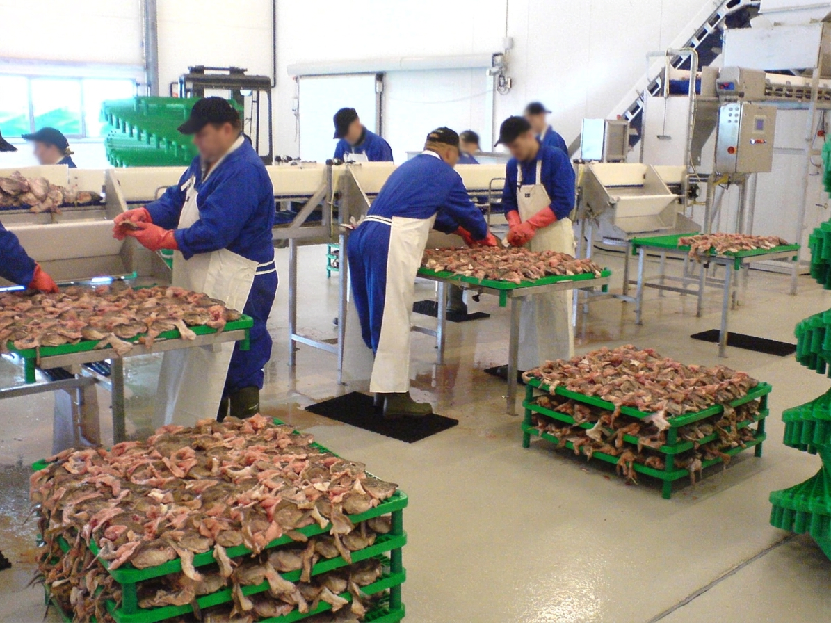 Workers processing dry seafood at Ice-Group facility